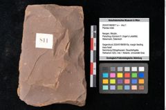 Foto (Objekt + Etikett) von Plantae indet. (NHMW-GEO-2024-0188-0811a)